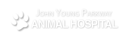 John Young Parkway Animal Hospital